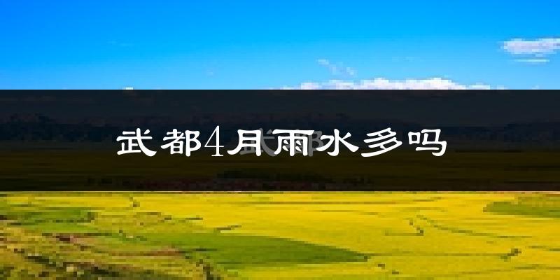 武都4月雨水多吗?