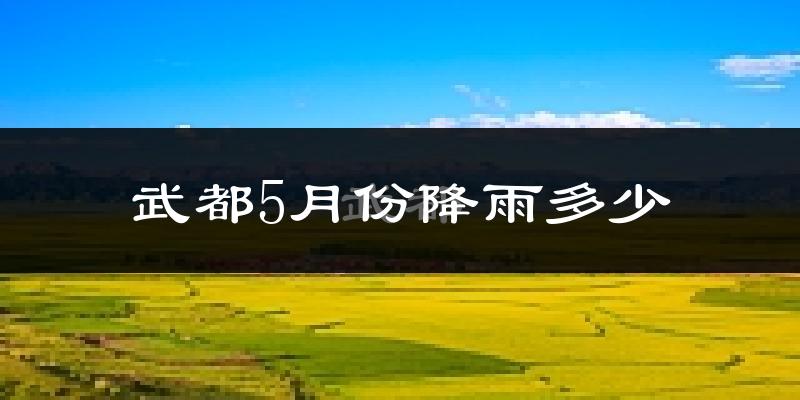 武都5月份降雨多少?