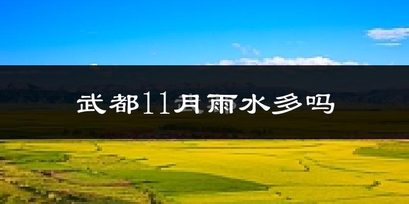 武都11月雨水多吗?