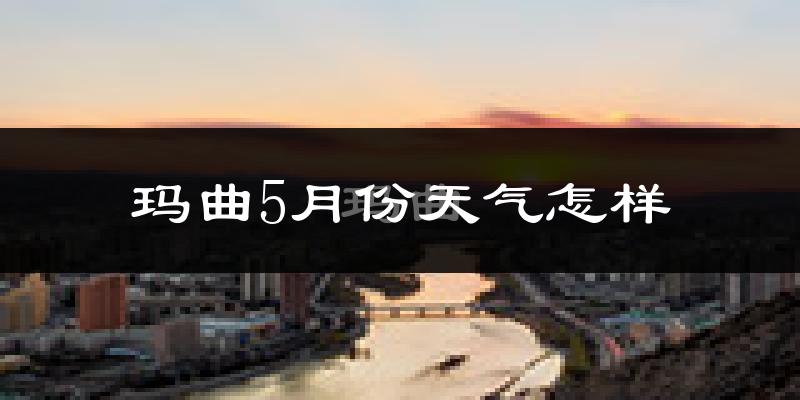 玛曲县5月份天气如何?很冷吗?