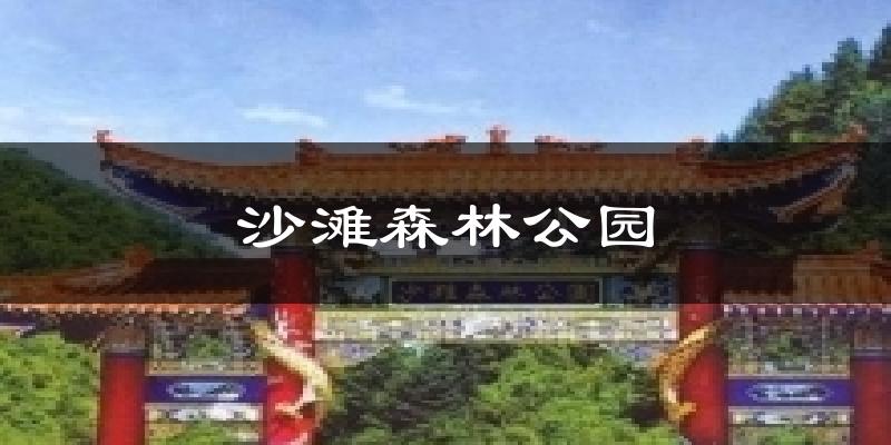 沙滩森林公园天气预报十五天