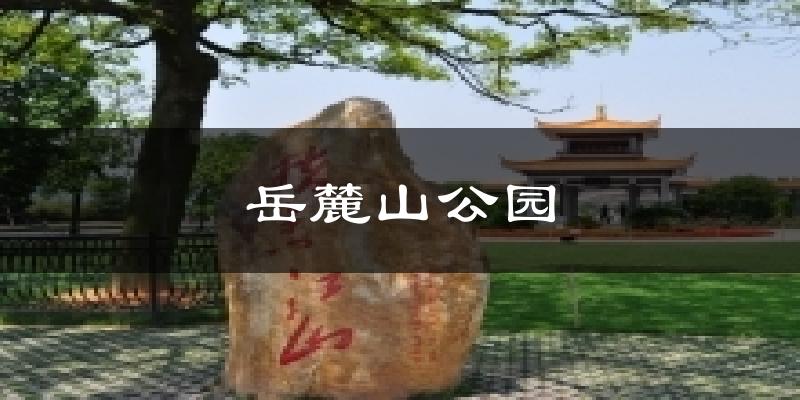 岳麓山公园天气预报十五天