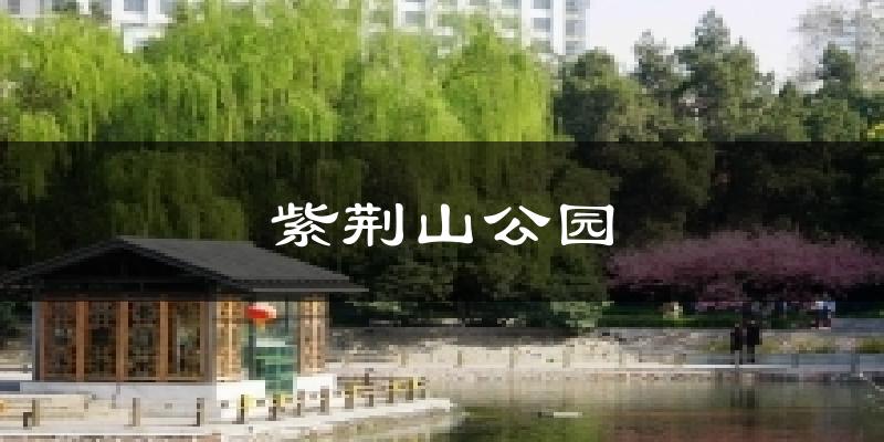 紫荆山公园天气预报十五天