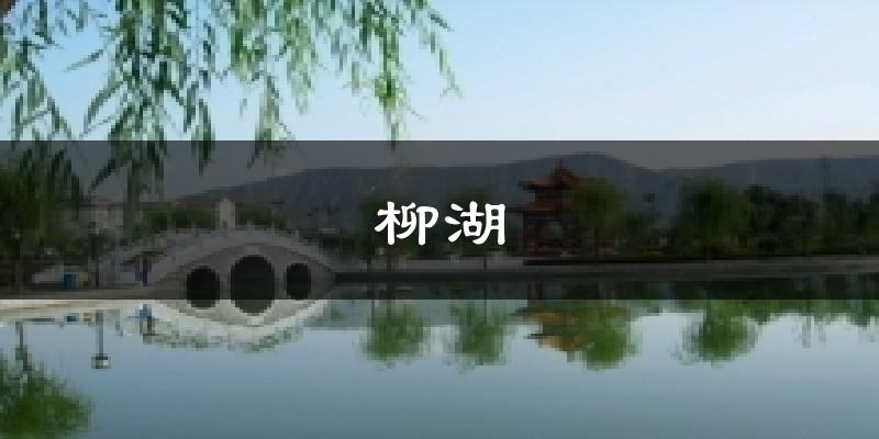 柳湖天气预报十五天