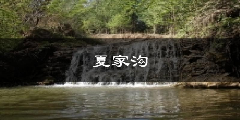 夏家沟天气预报十五天