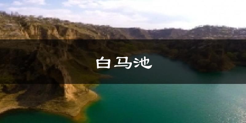 白马池天气预报十五天