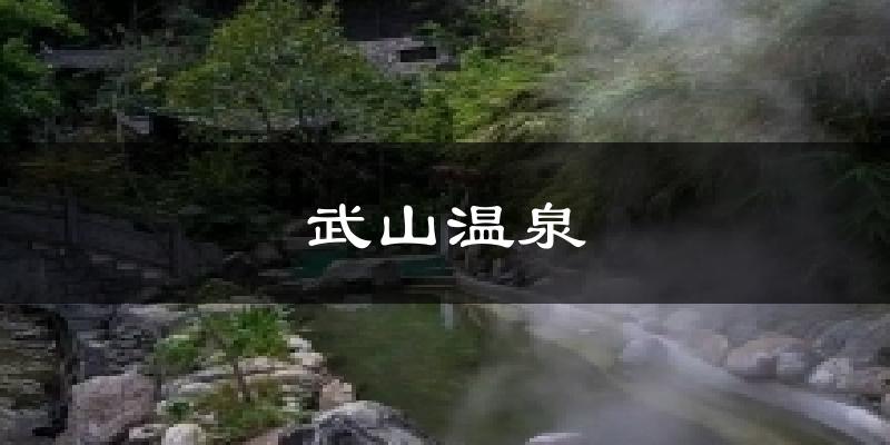 武山温泉天气预报十五天