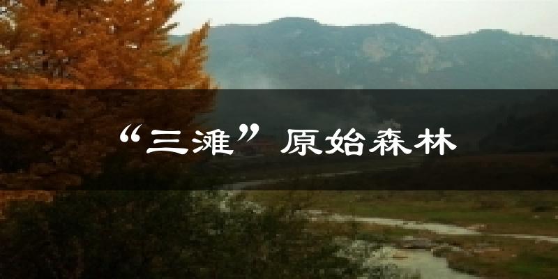“三滩”原始森林天气预报十五天
