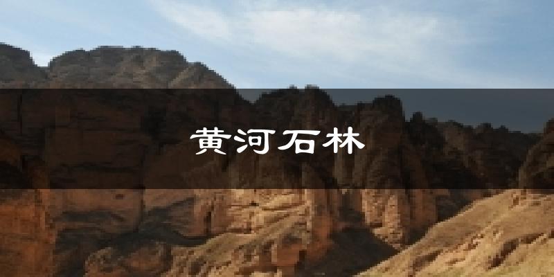 黄河石林天气预报十五天