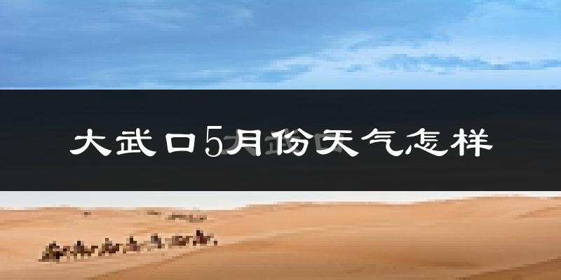 大武口5月份天气怎样?大武口五月冷不冷?