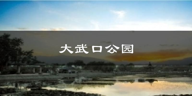 大武口公园天气预报十五天