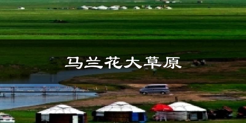 马兰花大草原天气预报十五天