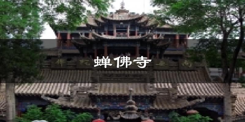 蝉佛寺天气预报十五天