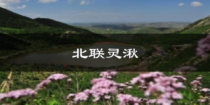 北联灵湫天气预报十五天