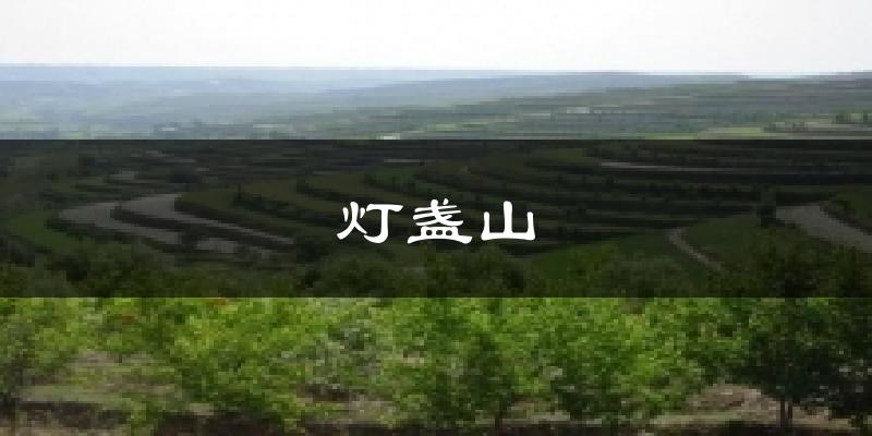灯盏山天气预报十五天