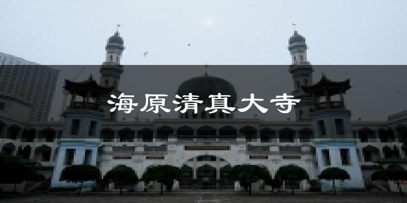 海原清真大寺天气预报十五天