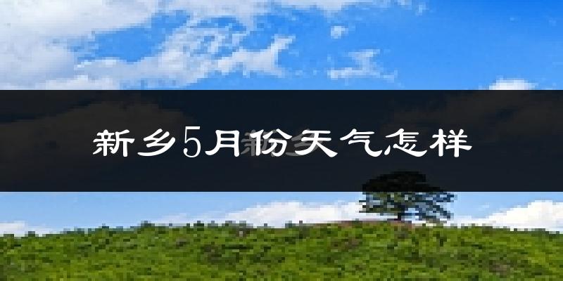 新乡县5月份天气如何?很热吗?