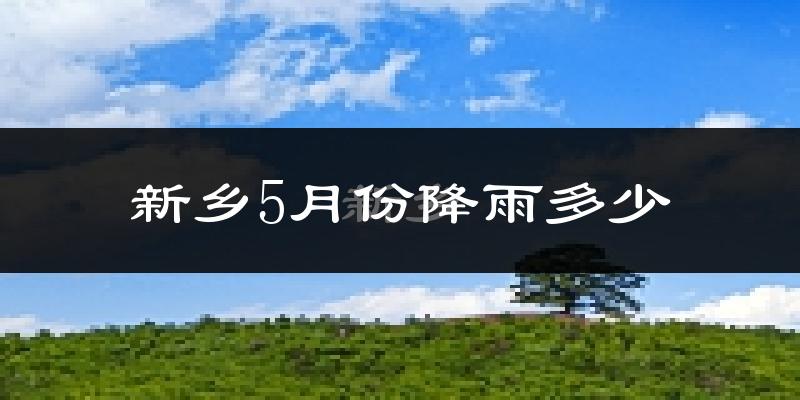 新乡5月份降雨多少?