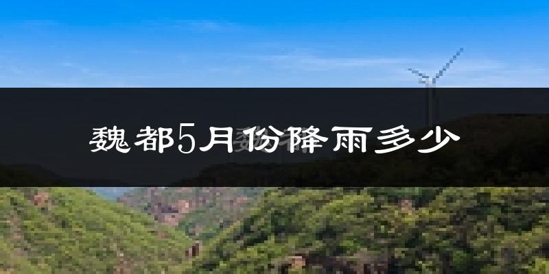魏都5月份降雨多少?