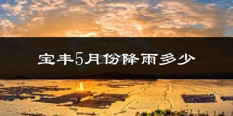 宝丰5月份降雨多少?