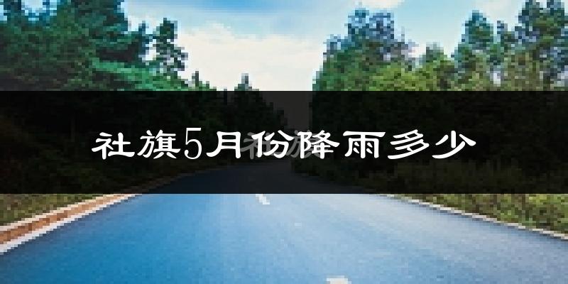 社旗5月份降雨多少?
