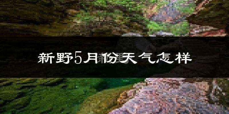 新野县5月份天气如何?很热吗?