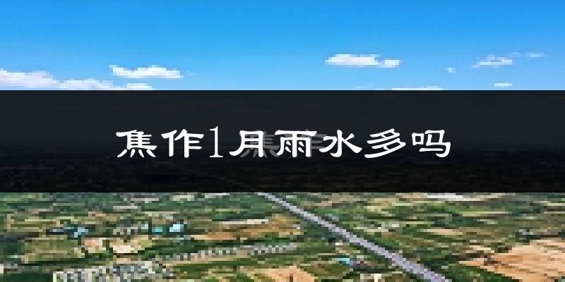 焦作1月雨水多吗?