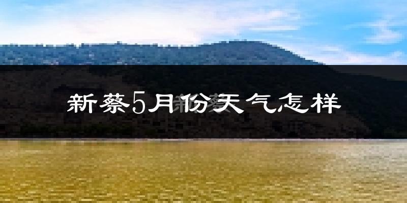 新蔡县5月份天气如何?很热吗?