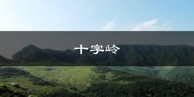 十字岭天气预报十五天