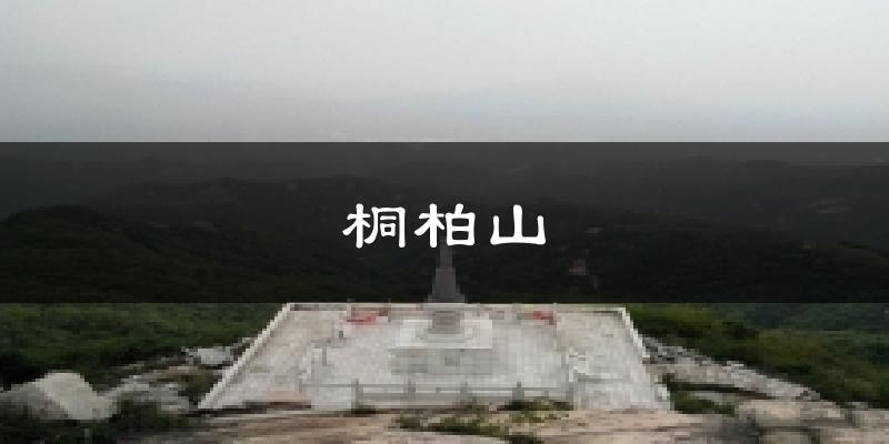 桐柏山天气预报十五天