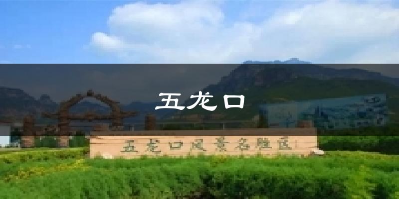 五龙口天气预报十五天
