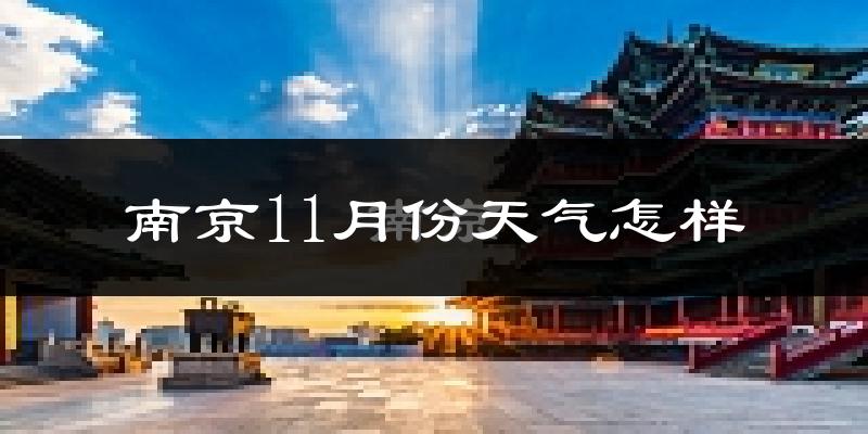 南京11月份天气怎样?南京十一月冷吗?