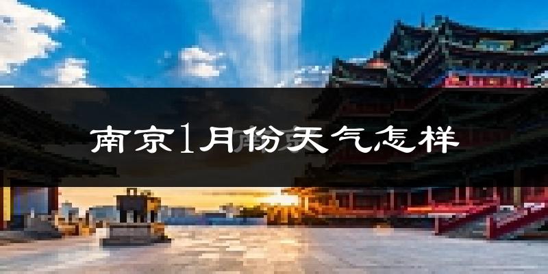 南京1月份天气如何?很冷吗?