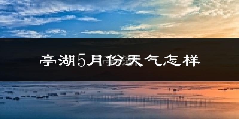 亭湖5月份天气怎样?亭湖五月冷不冷?