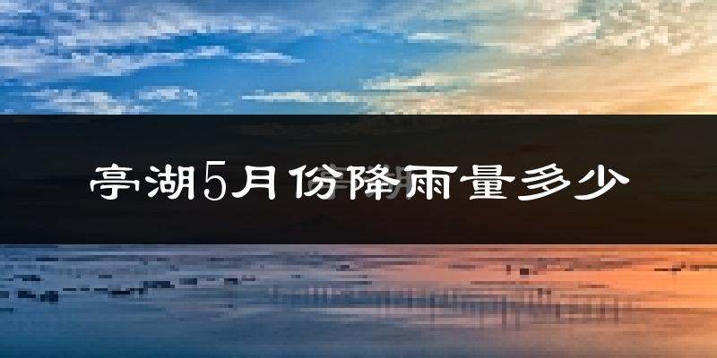 亭湖5月份降雨量多少?亭湖五月下雨多吗?