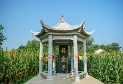 丰县天气
