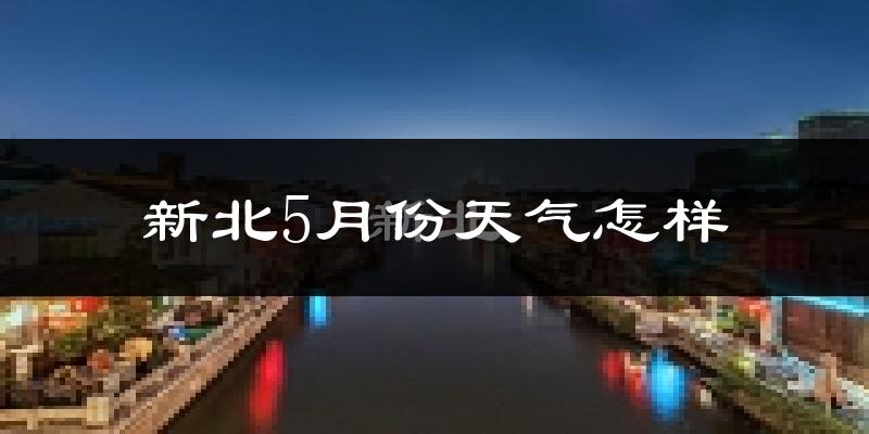 新北5月份天气怎样?新北五月冷不冷?