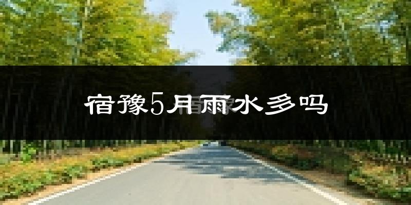 宿豫5月雨水多吗?