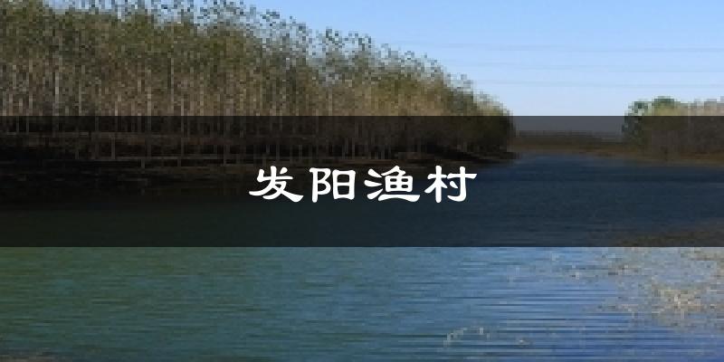 发阳渔村天气预报十五天