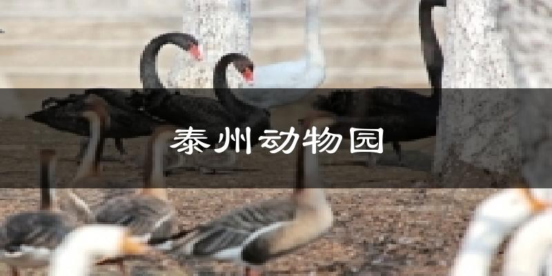 泰州动物园天气预报十五天
