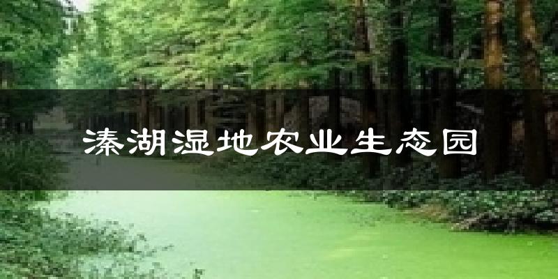 溱湖湿地农业生态园天气预报十五天