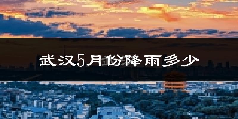 武汉5月份降雨多少?