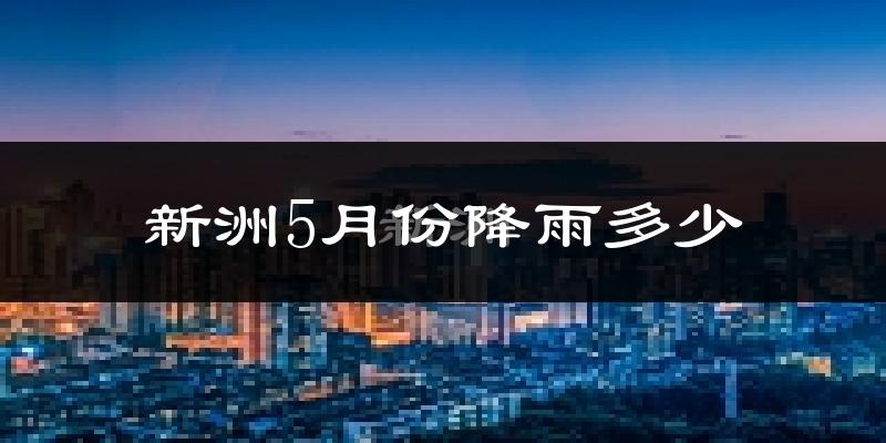 新洲5月份降雨多少?