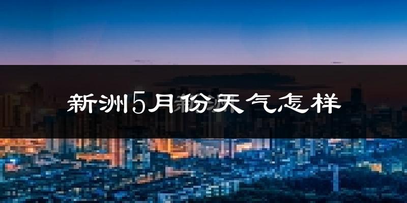 新洲5月份天气怎样?新洲五月冷吗?