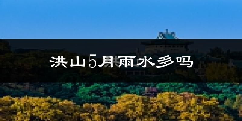 洪山5月雨水多吗?