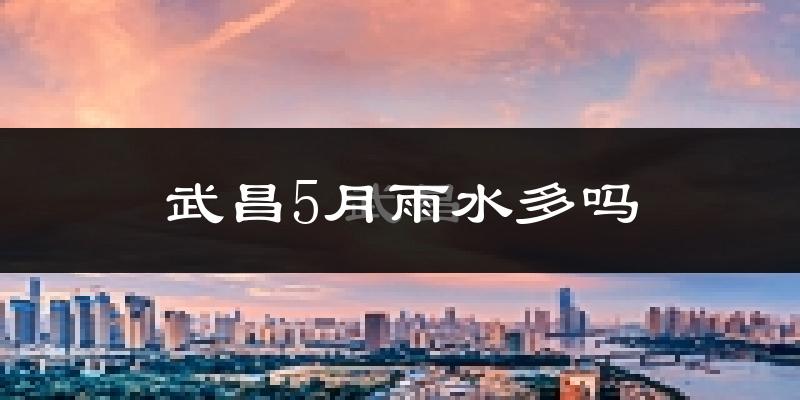 武昌5月雨水多吗?
