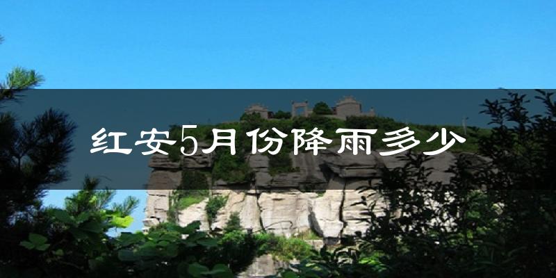 红安5月份降雨多少?