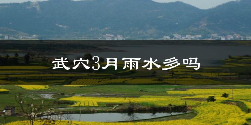 武穴3月雨水多吗?