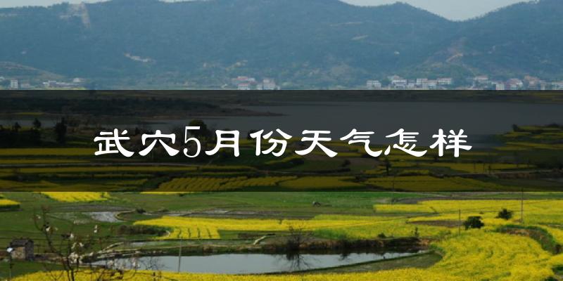 武穴市5月份天气如何?很热吗?