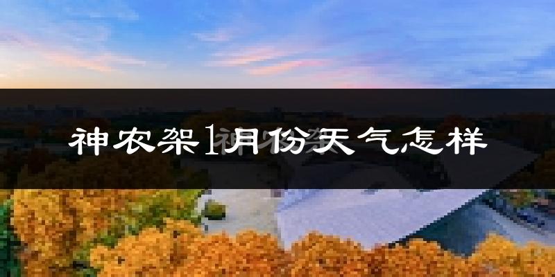 神农架林区1月份天气如何?很冷吗?